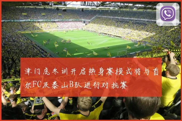津门虎冬训开启热身赛模式将与首尔FC及泰山B队进行对抗赛