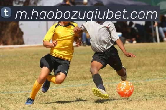 好博体育APP 封面图