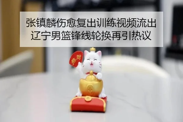 张镇麟伤愈复出训练视频流出 辽宁男篮锋线轮换再引热议（HaoBo）